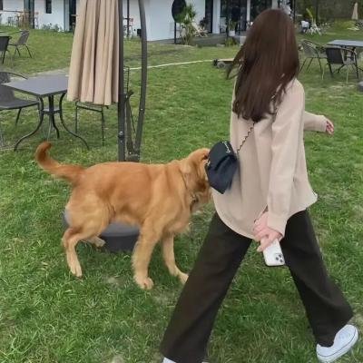 辣手枭雄